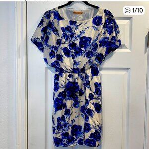 Alice + Olivia Blue and White Floral MIni Dress